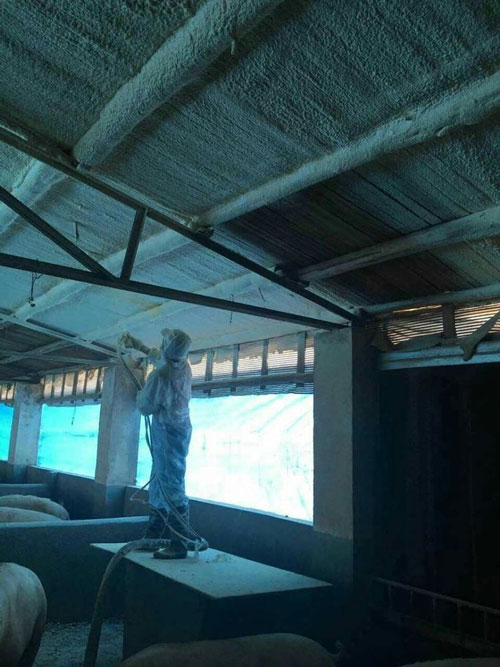 頂棚保溫發(fā)泡 緊密貼合聚氨酯噴涂機(jī)(圖3) 頂棚保溫發(fā)泡緊密貼合案例